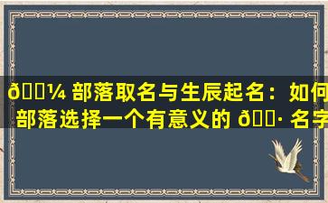 🌼 部落取名与生辰起名：如何为部落选择一个有意义的 🌷 名字